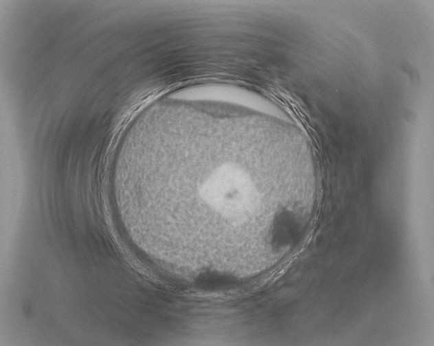 X0000115370049200912151427