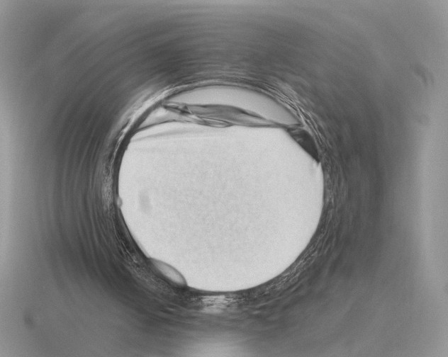 X0000115370050200912151427