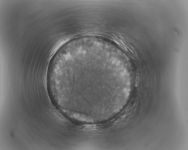 X0000115370052200912151427