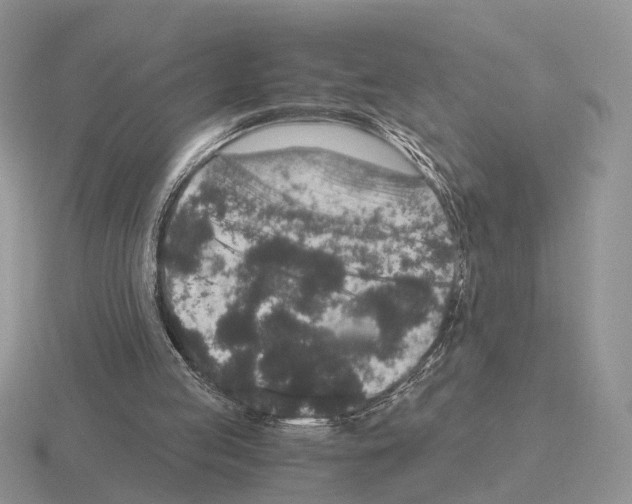 X0000115370053200912151427