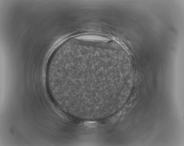 X0000115370055200912151427