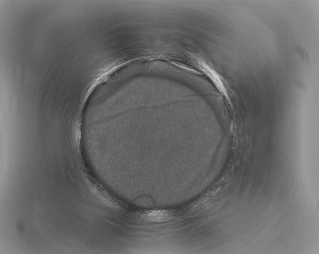 X0000115370059200912151427