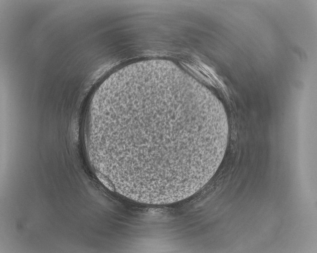 X0000115370060200912151427