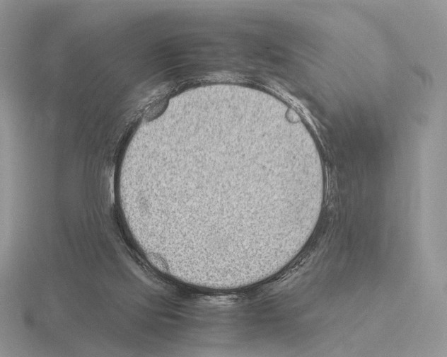 X0000115370061200912151427