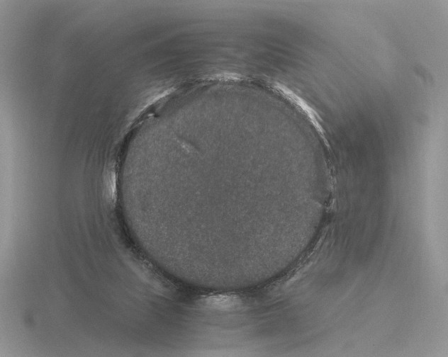 X0000115370067200912151427