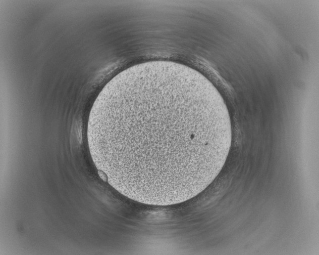 X0000115370068200912151427