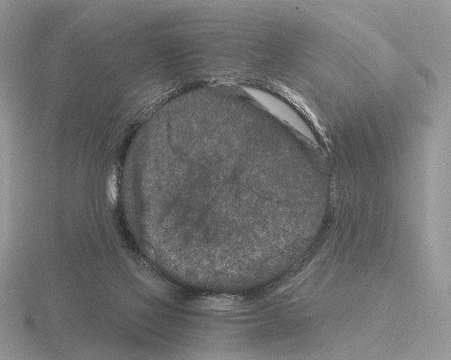 X0000115370069200912151427