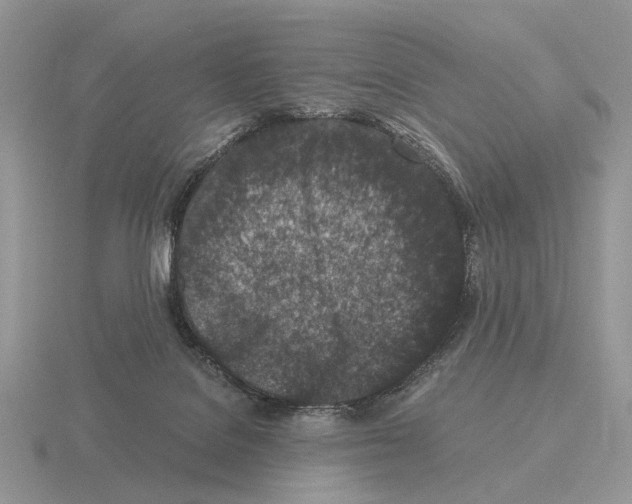 X0000115370076200912151427