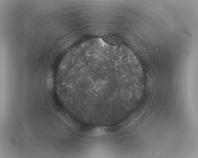 X0000115370080200912151427