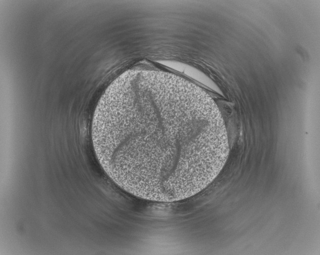 X0000115370084200912151427