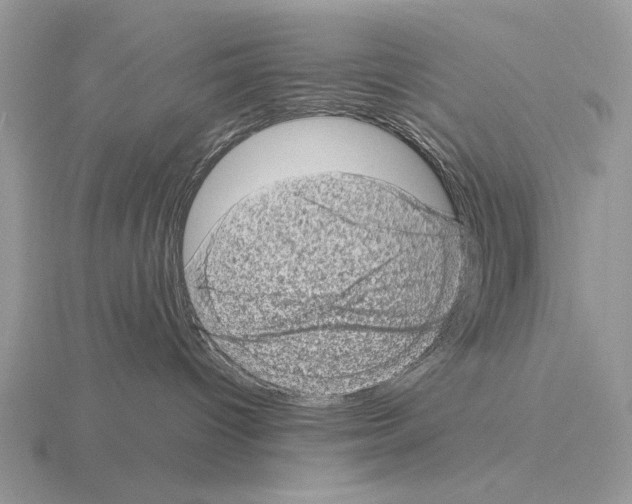 X0000115370096200912151428