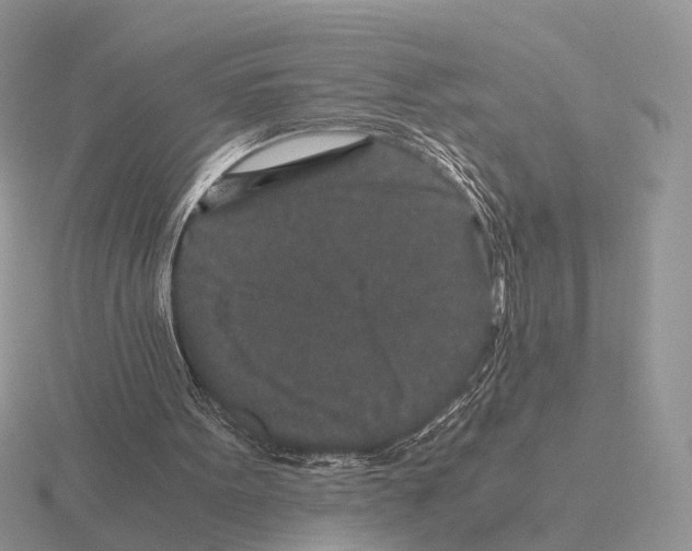 X0000115370099200912151427