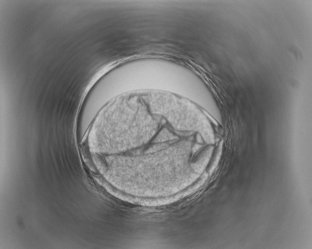 X0000115370100200912151427