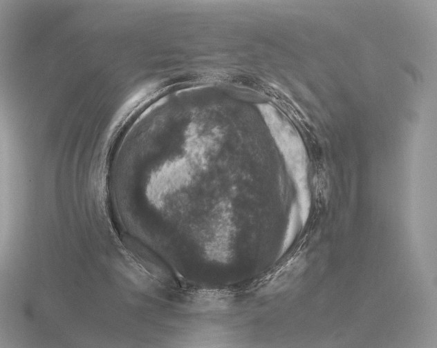 X0000115370101200912151427