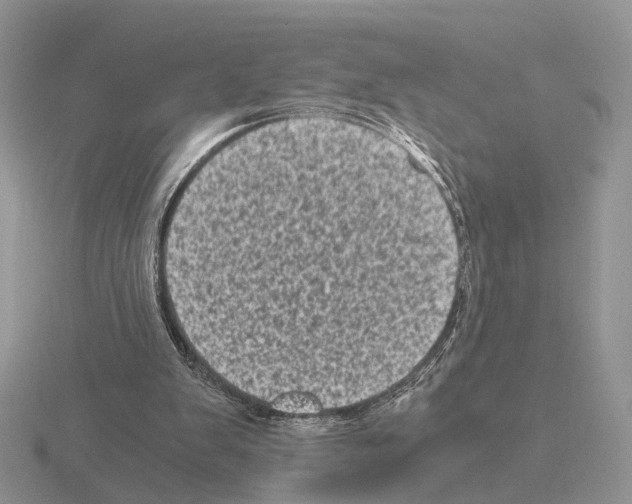 X0000115370103200912151427