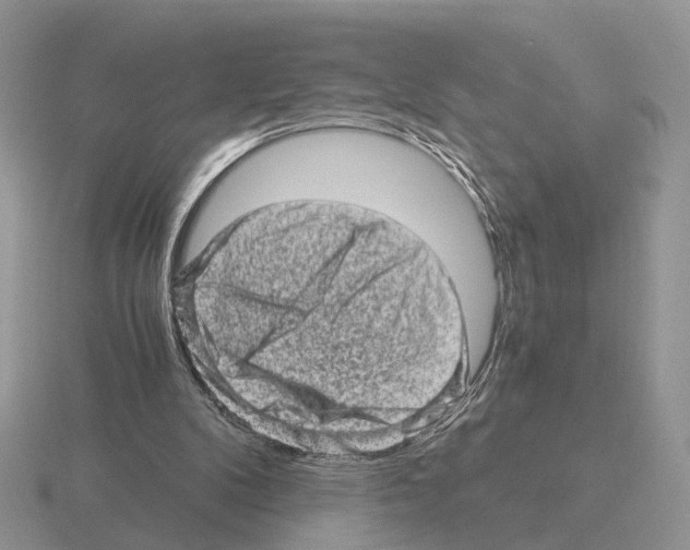 X0000115370104200912151427