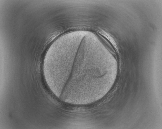 X0000115370105200912151427