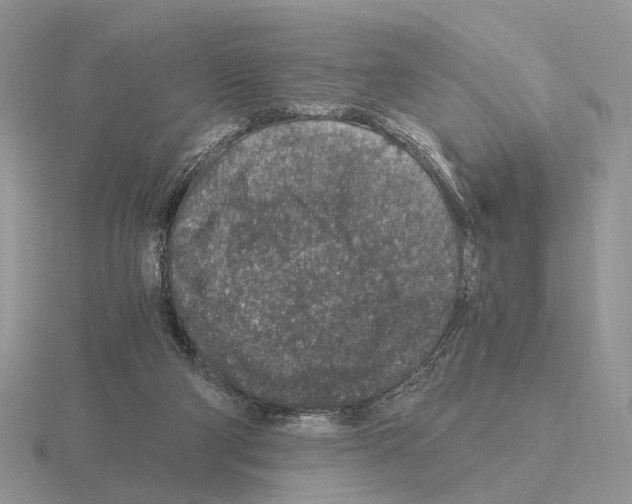 X0000115370114200912151427