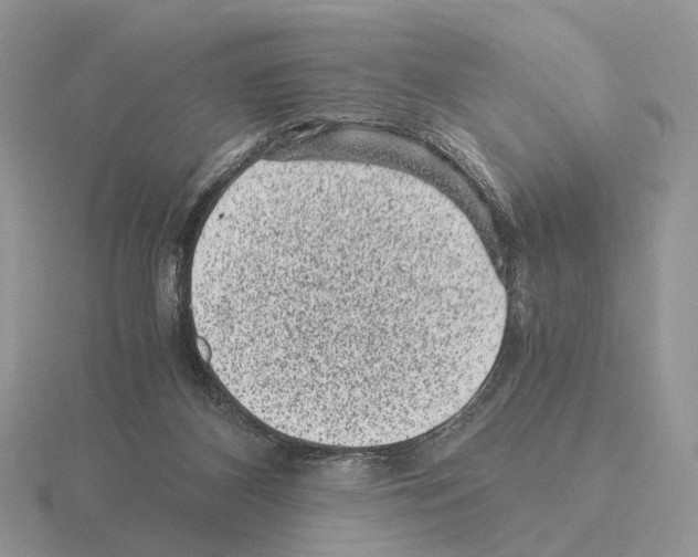 X0000115370116200912151427