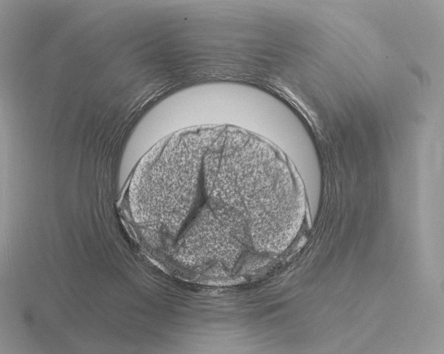 X0000115370117200912151427