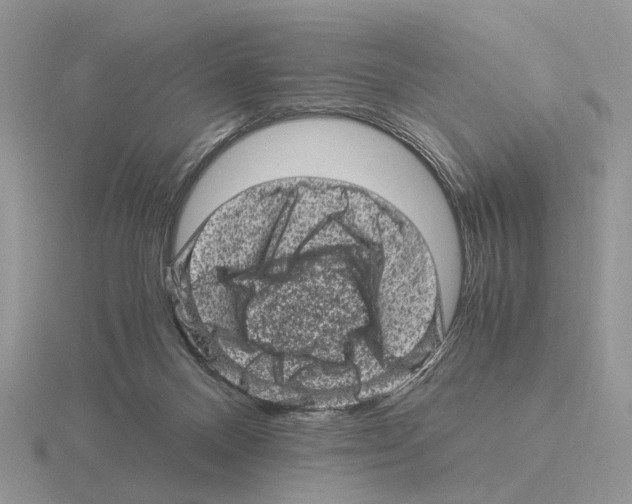 X0000115370120200912151427