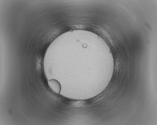 X0000115370122200912151427