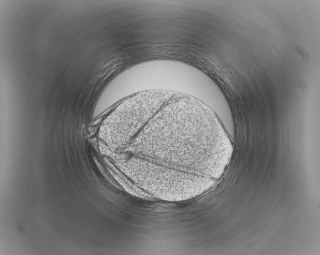 X0000115370128200912151427