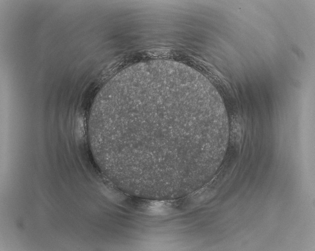 X0000115370130200912151427