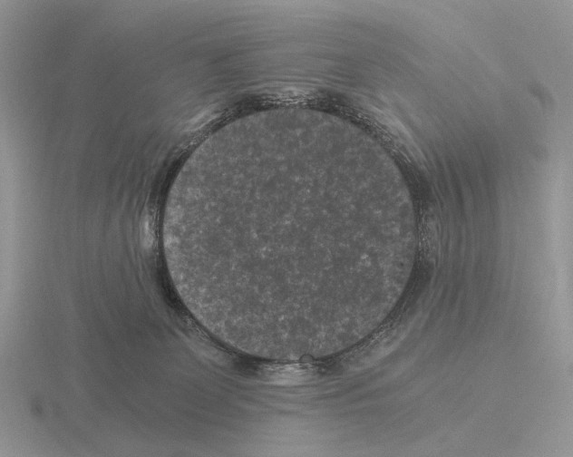 X0000115370131200912151427