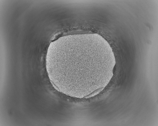 X0000115370144200912151426