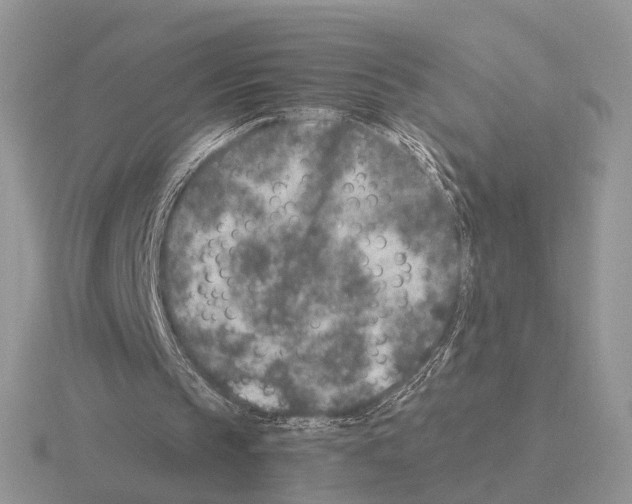 X0000115370145200912151426