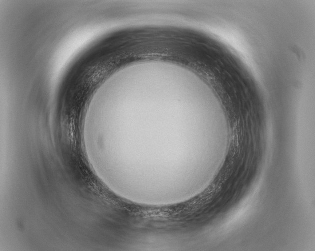 X0000115370146200912151426