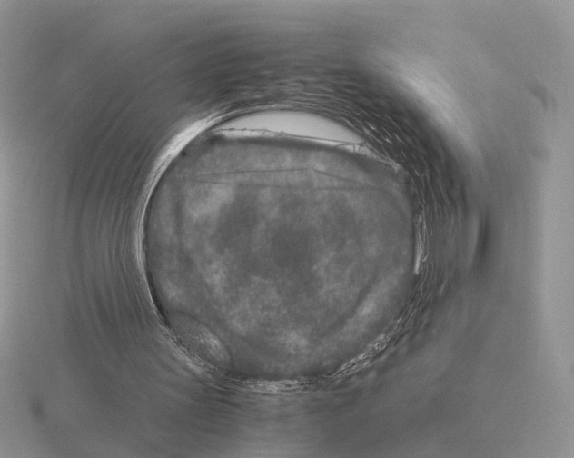 X0000115370147200912151426