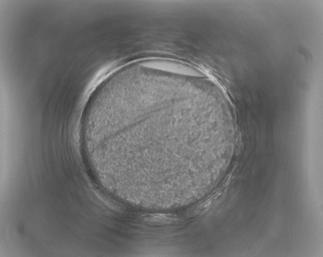 X0000115370151200912151426