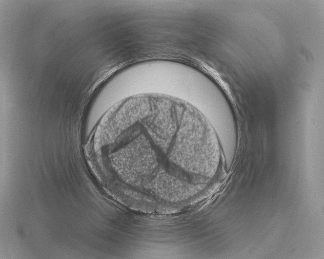 X0000115370154200912151426