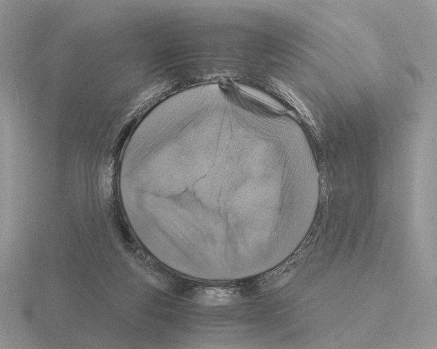 X0000115370163200912151426