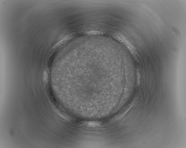 X0000115370165200912151426