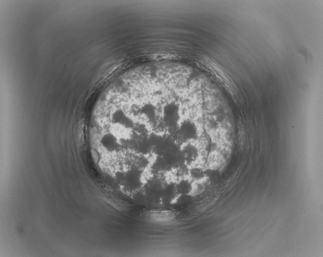 X0000115370169200912151426