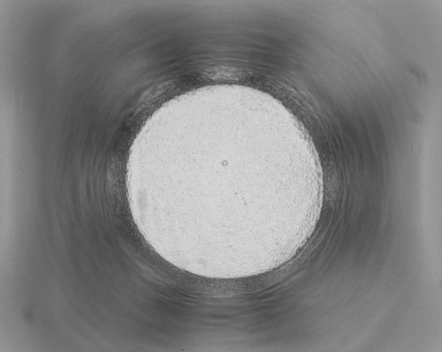 X0000115370175200912151426