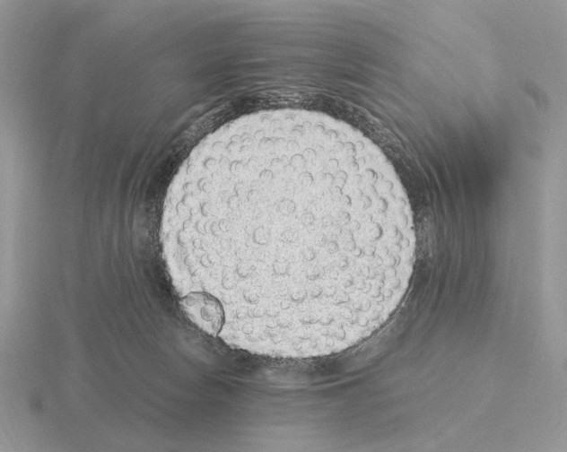 X0000115370178200912151426