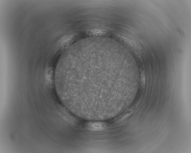 X0000115370181200912151426