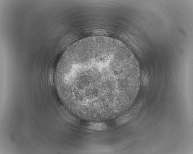 X0000115370185200912151426