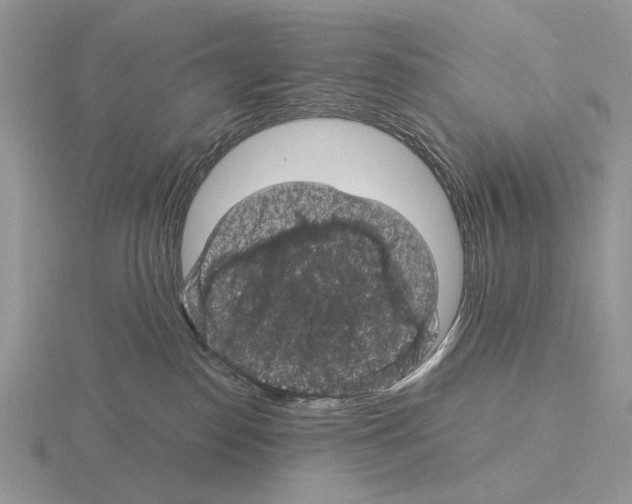 X0000115370186200912151426