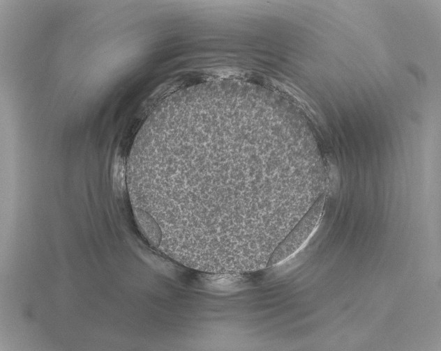 X0000115370191200912151426