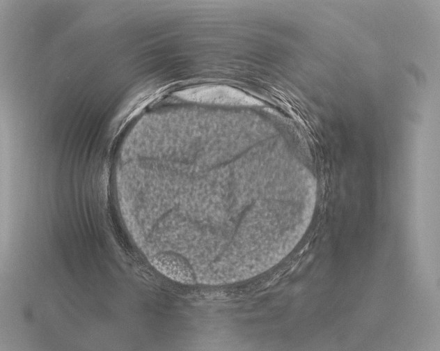 X0000115370194200912151426