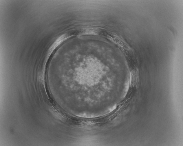 X0000115370195200912151426