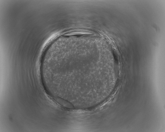 X0000115370197200912151426