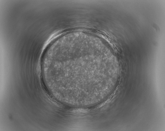 X0000115370198200912151426