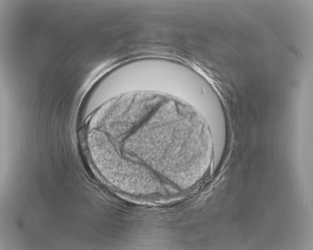 X0000115370199200912151426