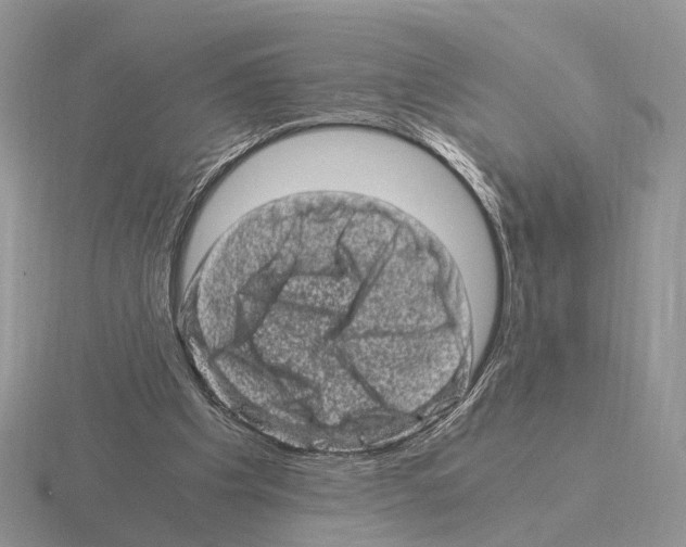 X0000115370201200912151426